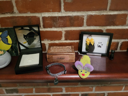 20250712_194713.jpg, Jul 2025 20250712_194713.jpg, Jul 2025